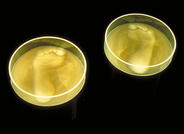 Interactive Sand Lamps