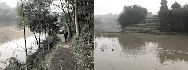 villagers strolling in the fields and the ducks playing in the paddy field ©小隐建筑