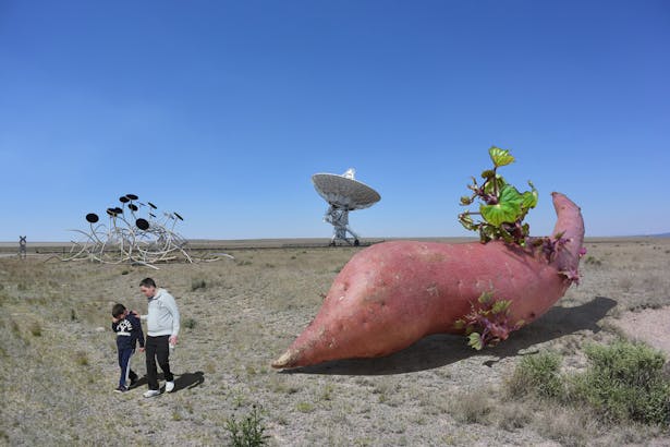 The Potato in the Desert With Two Kids, a Large Dish Antenna, and a Strange Silver and Black Object.