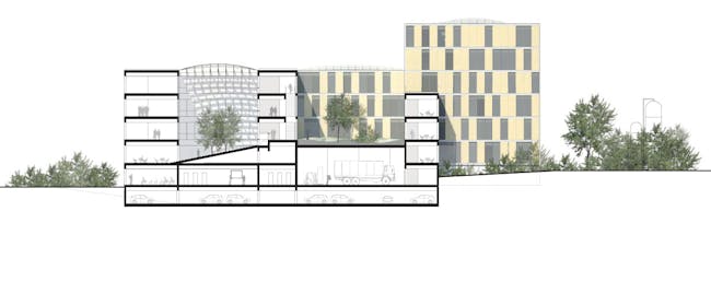ZSW SECTION AA (Image: Henning Larsen Architects)