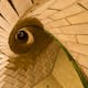 Spiral stair at the Cathedral of Saint John the Divine (begun 1892) in Manhattan demonstrates the spatial and structural complexities of some of the Guastavino tile vaults. The brilliance of the Guastavino system lies in the seamless integration of structure and finished surface. Each layer of...