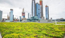 New York's roofs may get a lot greener soon
