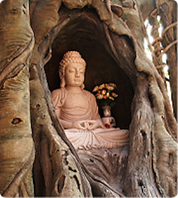 Buddha in the Bohdi Tree