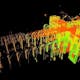 3D scanned data of Notre Dame Cathedral gathered by the late architecture historian and Vassar Art Professor Andrew Tallon. Image © Andrew Tallon