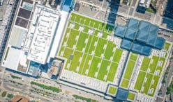 NASA explores potential for green roofs to lower temperatures in cities