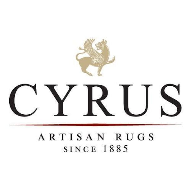 Pursue Interior Design With The Cyrus Artisan Rugs