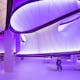 Mathematics – The Winton Gallery, Zaha Hadid Architects. Photo: Luke Hayes.