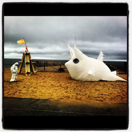 Sparky the Cowfish inflateable had a great day at the beach. 