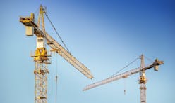 North American crane count up again after 2020 slump