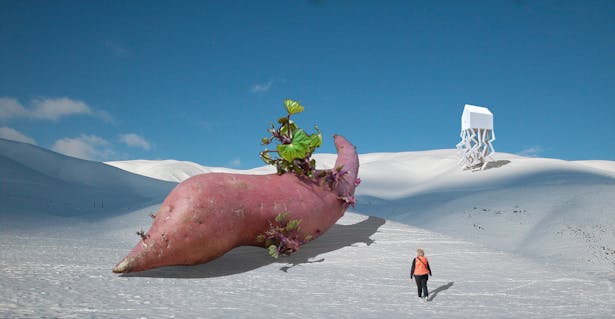 The Potato in the Snow, a Mobile Home, and a Person in a Orange Vest.