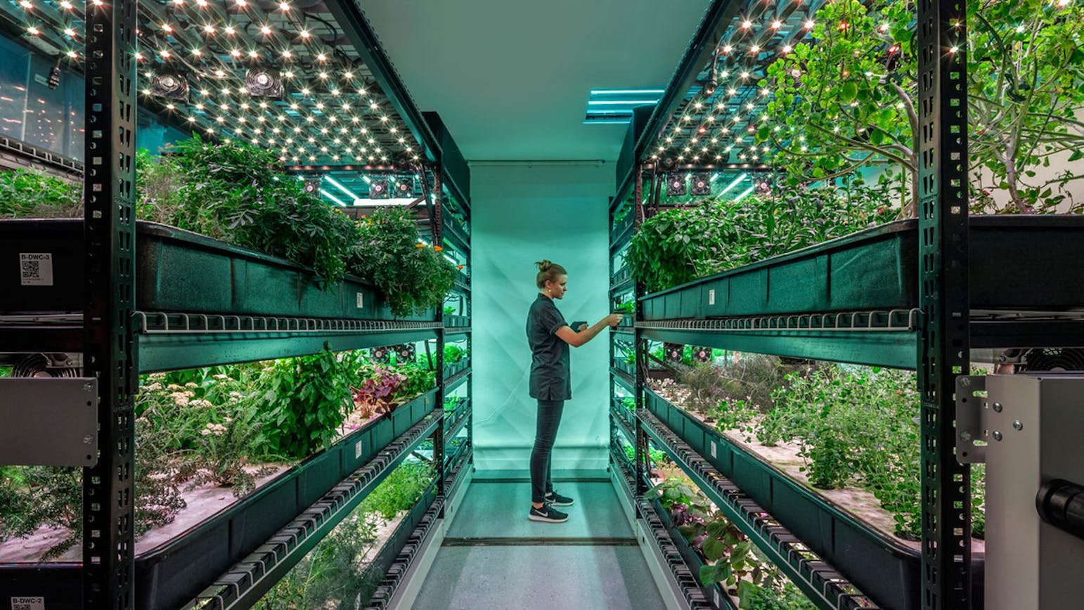 Is Vertical Farming The Future Of Agriculture News Archinect