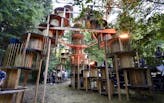 PSU Architecture Students Design and Build Pickathon Stage using 175 Giant Cable Spools