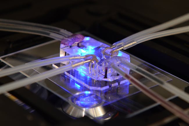 Designs of the Year 2015 winner: Human Organs-on-Chips by Donald Ingber and Dan Dongeun Huh - Wyss Institute at Harvard University.