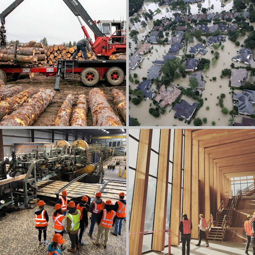 FOREST STRONG: TIMBER SOLUTIONS FOR DISASTER RESILIENT COASTAL DEVELOPMENT by Jacob Gines and Hans Hermann, Mississippi State University. Image courtesy ACSA