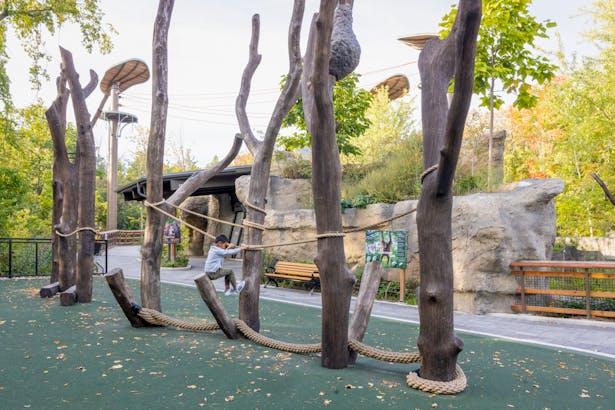 The children's play area mimics the natural habitat, offering an almost true-to-life experience.