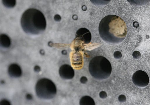Closeup of a bee brick in action. Image courtesy Green and Blue/<a href="https://www.facebook.com/GreenandBlueUK/photos/10159395170517165/">Facebook</a>