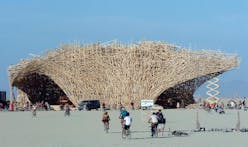 Bamboo architecture for dystopian times
