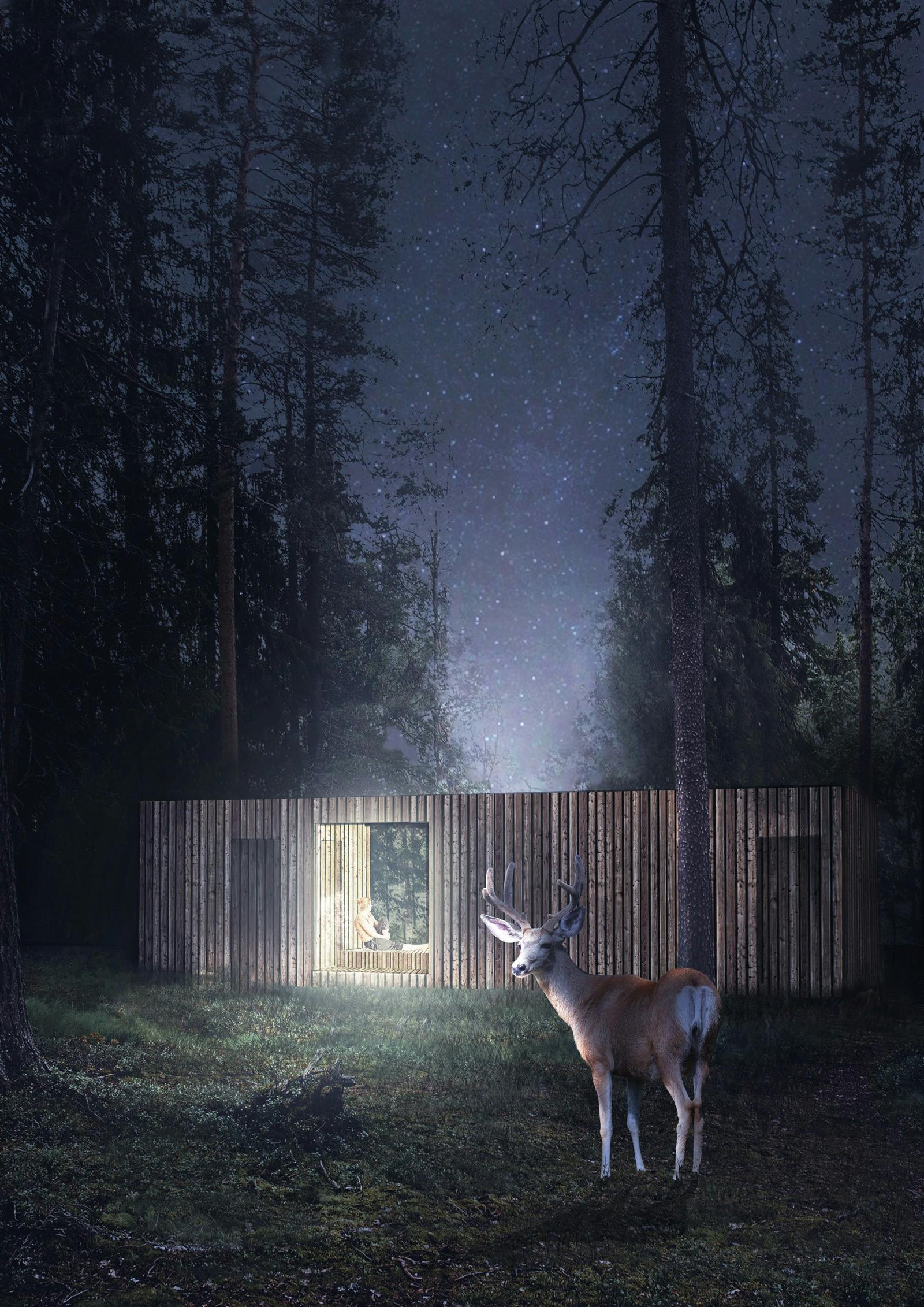 The winning Silent Meditation Forest Cabin proposals in Latvia | News |  Archinect