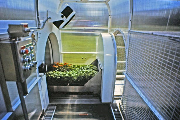 The plants automatically move in and out of an insulated chamber from night to day in order to conserve energy.