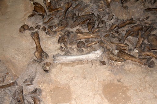 Mammoth bones exhibited at the State Archaeological Museum in Kostyonki, Russia. Photo: Wikimedia Commons user Evatutin.