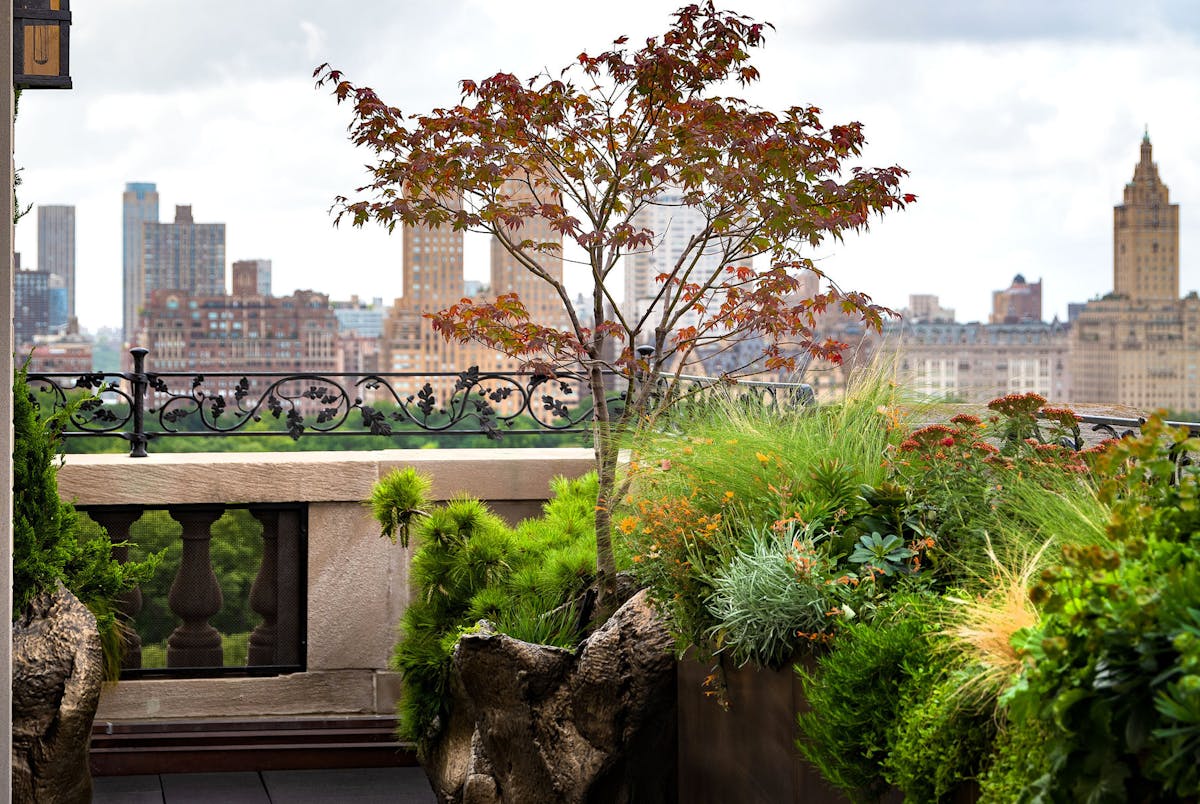 Featured landscape architecture jobs in New York City | News