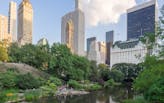 New York's Central Park to become site for climate change research