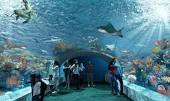 Chicago's Shedd Aquarium announces $500 million 'Centennial Commitment'