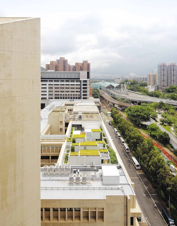 Extensive green roofs and walls offer a landscape for the enjoyment of the patients and surrounding neighbours.