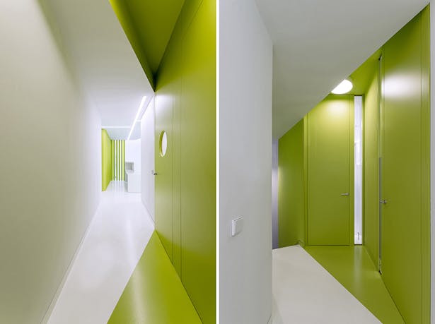 The project responds to the concepts of transparency and continuity, so we use each kind of green to differentiate spaces perceived simultaneously.