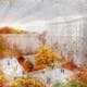 'The interior garden, autumn'. © Ateliers Jean Nouvel & BIAD