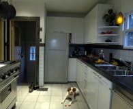 Beeghly Kitchen Remodel