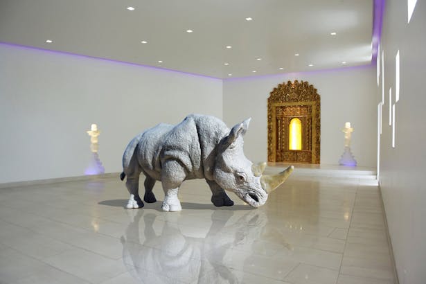 The Rhino House 
