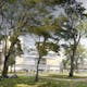 View from Nobel Garden ©David Chipperfield Architects