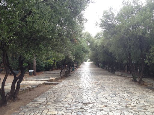 “Pikionis’ Pathway: Paving the Acropolis” by Kevin Malawski. Rows of Olive Trees, Athens, Greece. Photo Credit: Daniel Pearson