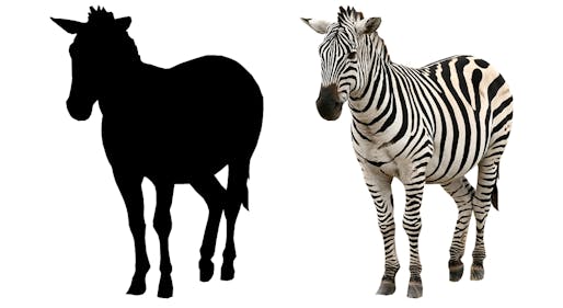 So what are you, a horse or a zebra?