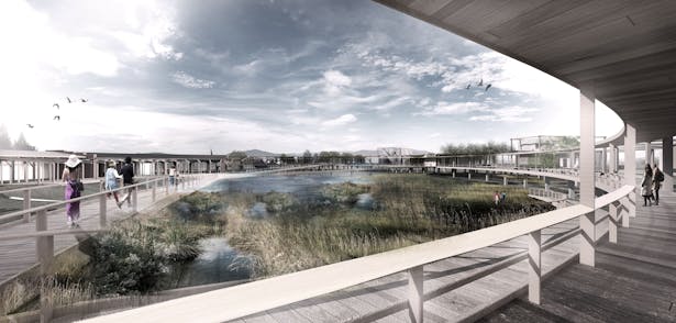 Within the research facility and ecological wetland park