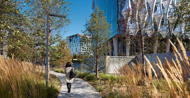 The Embassy's landscape is inspired by the shared history of the United States and the United Kingdom, with tall grasses and wildflowers that pay homage to rolling American prairies and the site's early history as a River Thames wetland. ©Richard Bryant