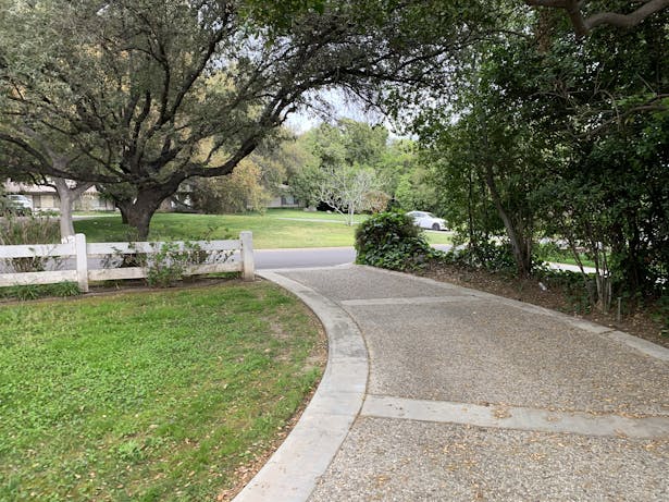 Original front yard w/ all oak preserved (4-5-2019).