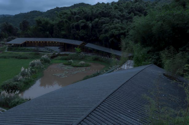 the Bamboo Branch Academy coexists with the surrounding forest and fields ©存在建筑