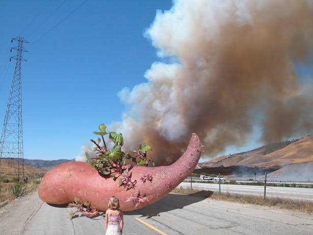 The Potato on a Road With a Young Girl, and a Fire in the Background.