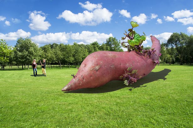 The Potato in the Park With Two Women Drinking Red Wine.