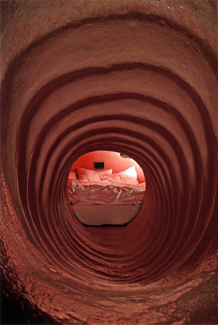 The 'Wombhouse' by Atelier Van Lieshout. Image courtesy Harvard Design Magazine.