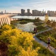 Weiss/Manfredi, Hunter’s Point South Waterfront Park, Long Island. The park’s recently completed second phase offers New Yorkers an “urban wilderness” that re-introduces wetlands and the water’s edge. (Photo: David Lloyd/SWA)