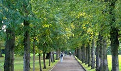 It's official: trees are good for your health