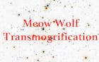 Extra Extra: Meow Wolf Transmogrification