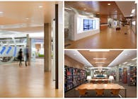UCLA Charles Young Research Library - LEED Gold (2012) - 60,000 SF Renovation