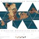 Dymaxion Woodocean World, Nicole Santucci + Woodcut Maps, United States