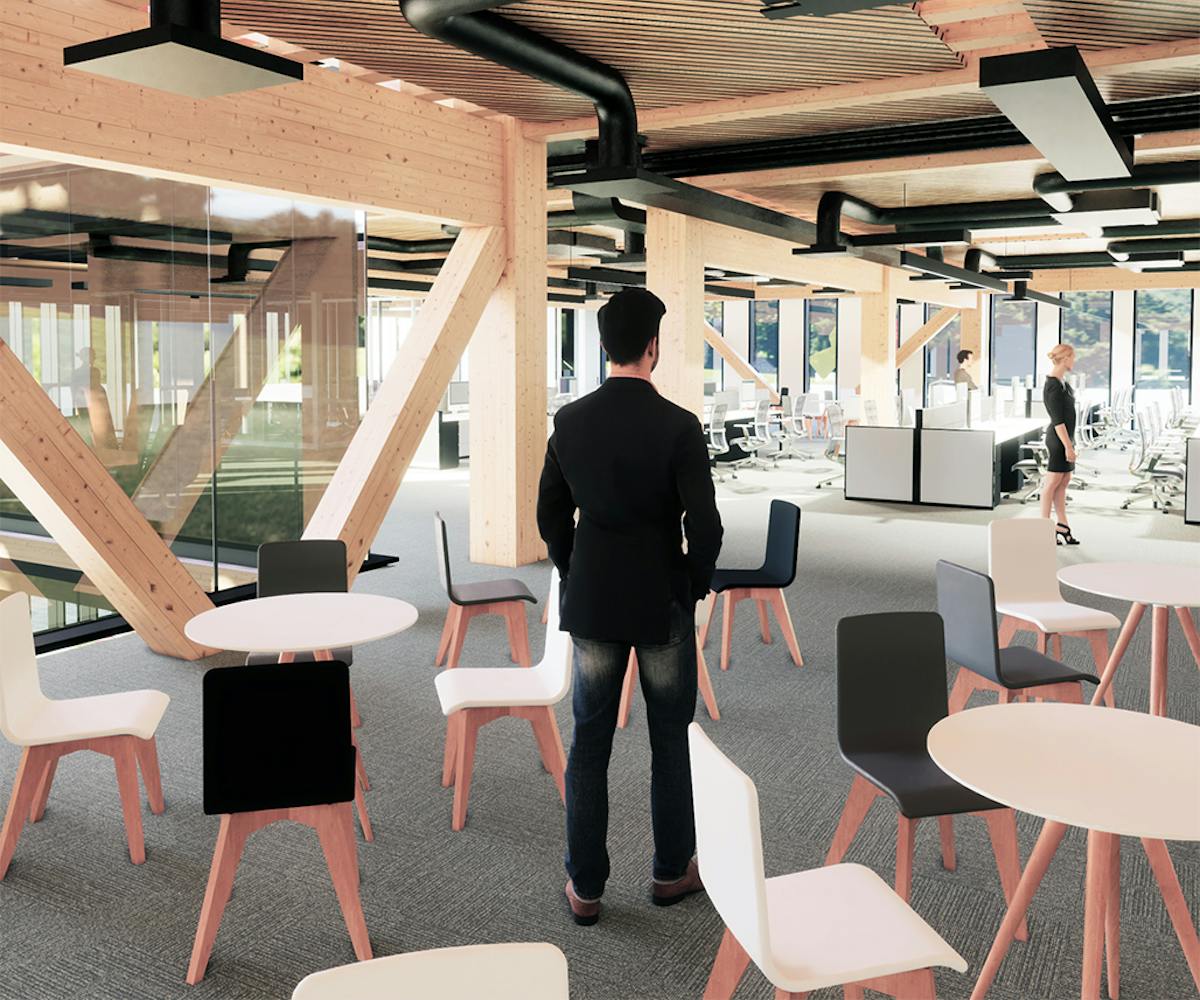 Time to reconnect with nature: Timber offices of the future