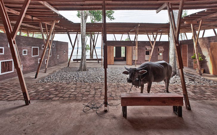 A buffalo parked outside waiting for its owner (Photo: Pasi Aalto / pasiaalto.com)