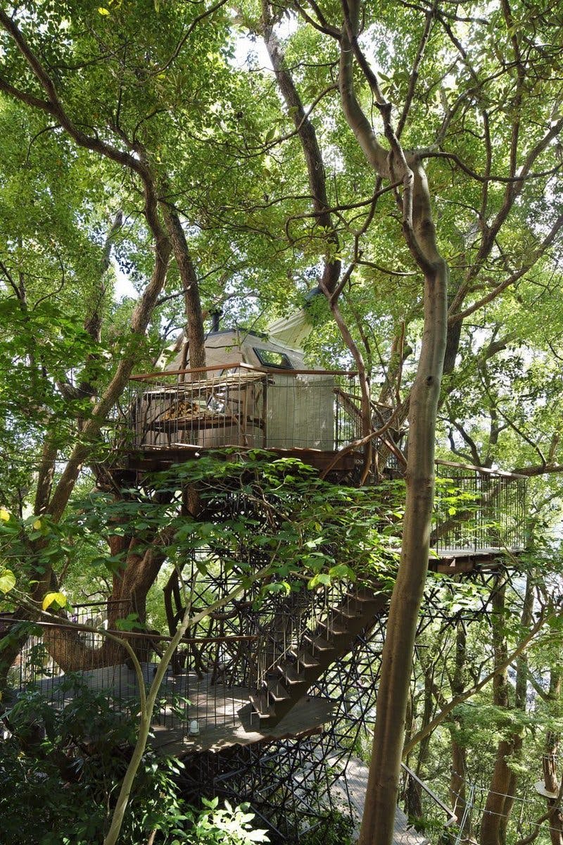 Japan s largest treehouse is also a high tech engineering feat News Archinect